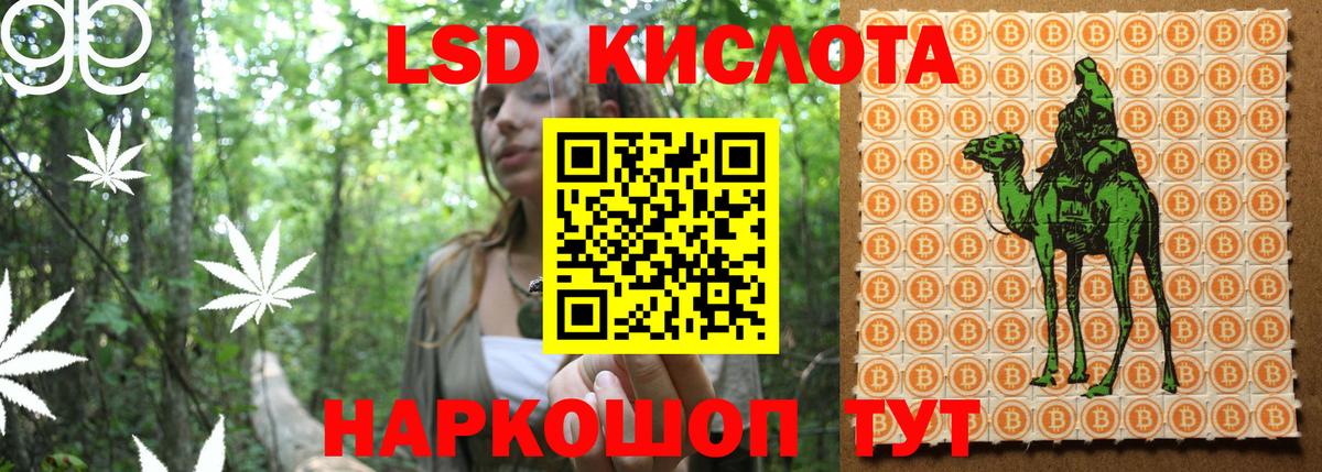 Мефедрон   Кушва  Альфа ПВП СК   Кокаин  ГАШИШ  МДМА  Каннабис  Вход с VPN  ГЕРОИН 