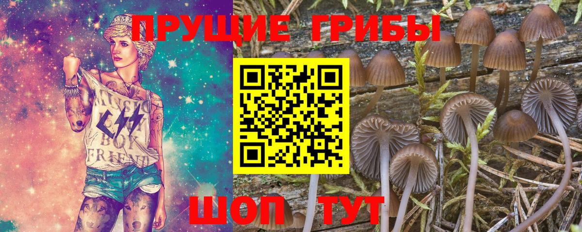 Псилоцибиновые грибы Cubensis  Вход с VPN  Кушва  Галлюциногенные грибы Cubensis 