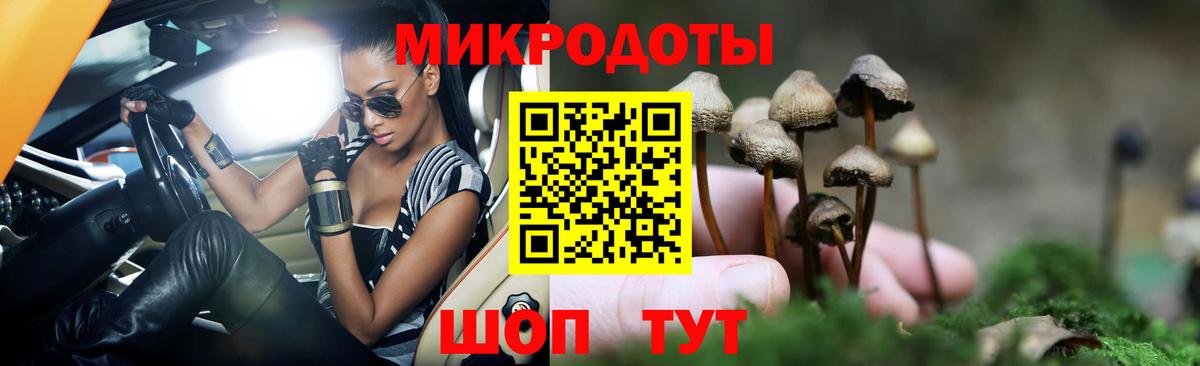Псилоцибиновые грибы мухоморы Кушва